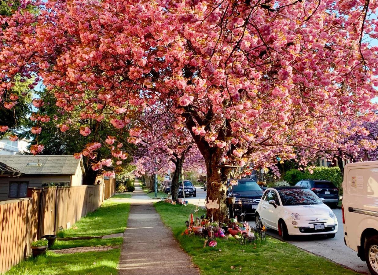 Private Guest Suite 10Mins To Downtown - King Bed - Bathtub - Free Parking Vancouver Eksteriør bilde